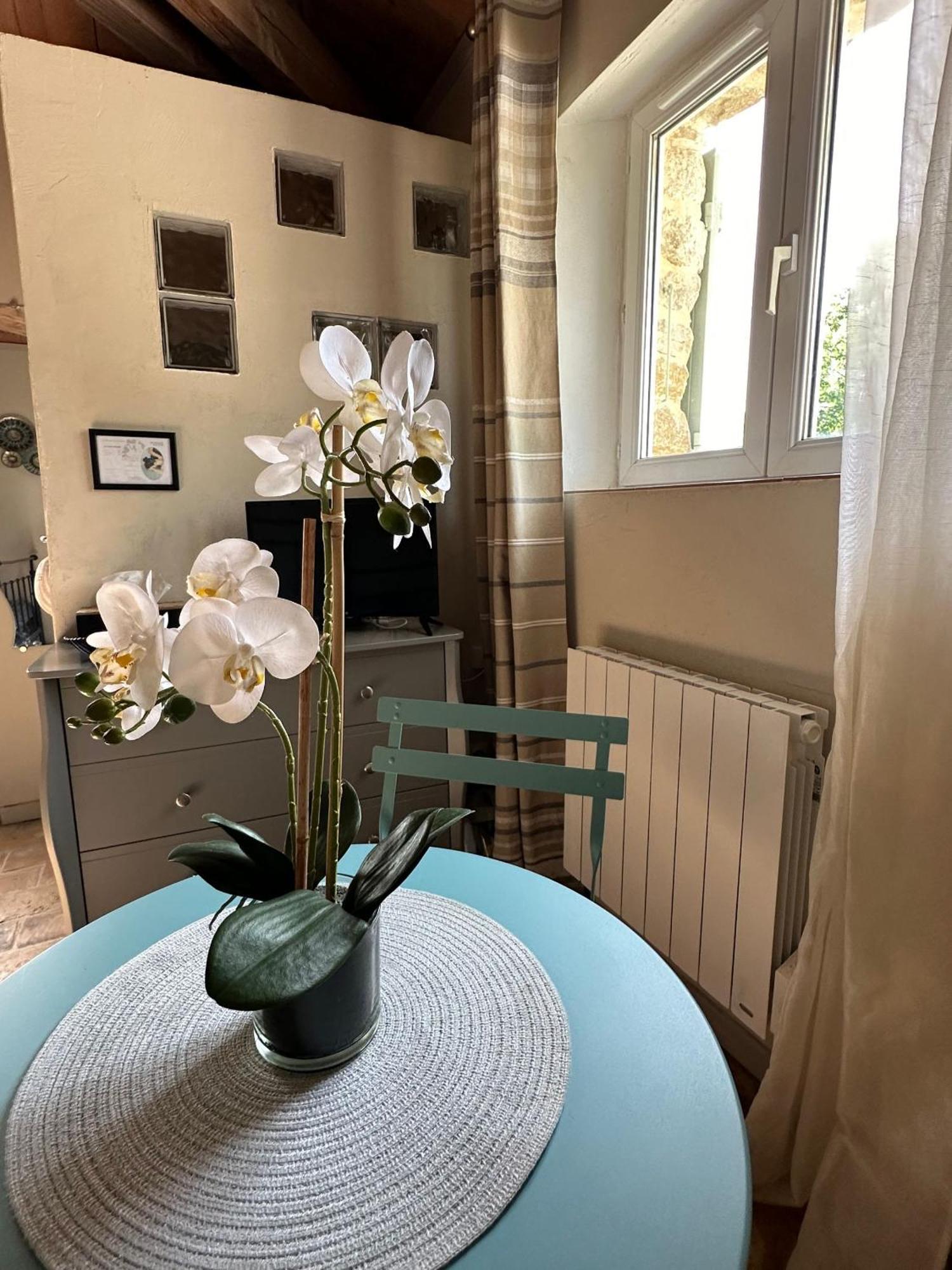 Maisonnette Independante Au Calme Dans Un Grand Jardin Шатонеф-дю-Рон Экстерьер фото
