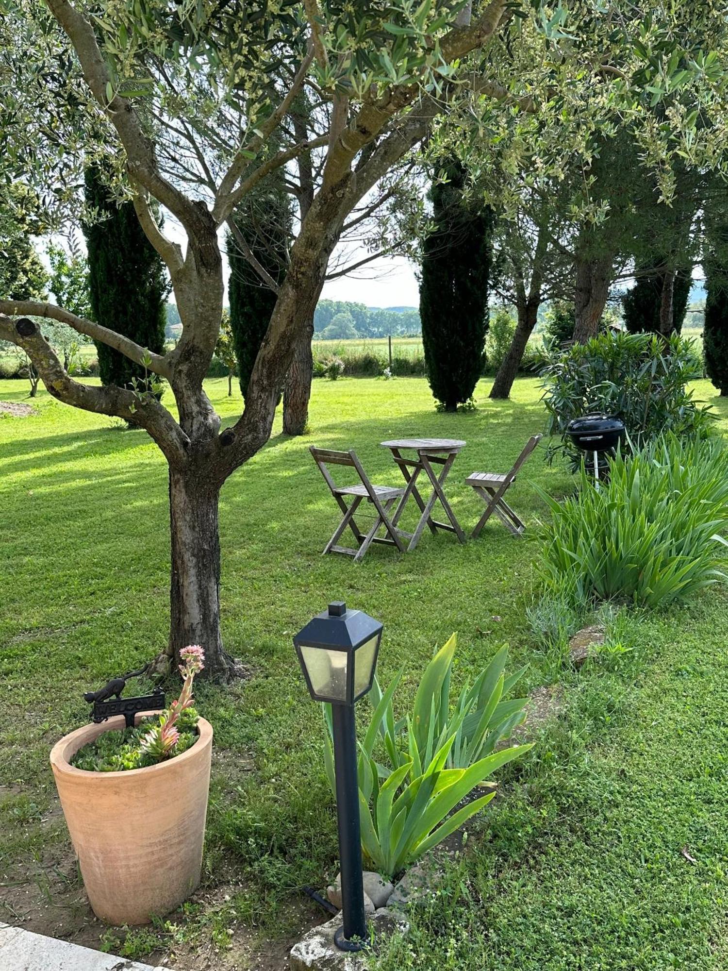 Maisonnette Independante Au Calme Dans Un Grand Jardin Шатонеф-дю-Рон Экстерьер фото