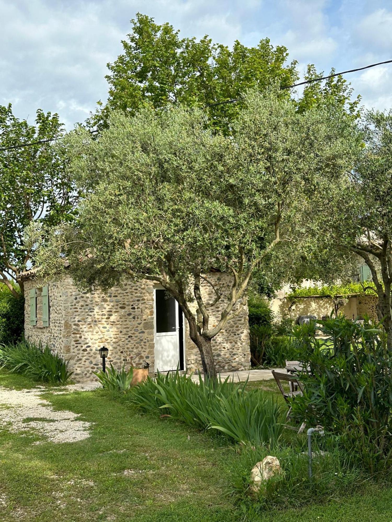 Maisonnette Independante Au Calme Dans Un Grand Jardin Шатонеф-дю-Рон Экстерьер фото